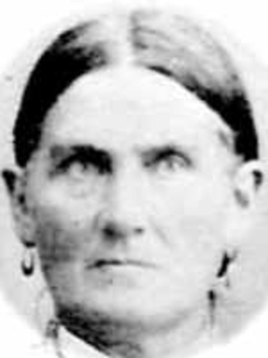 Mary Ann Smyth Huggins (1847 - 1905) Profile